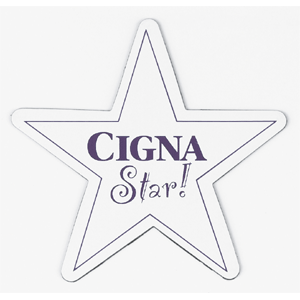 Star Shaped Magnet