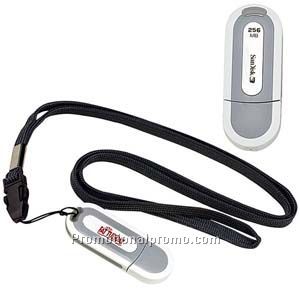 Sandisk USB Drive 256 Mb