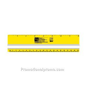 8 inch Magnifying Ruler