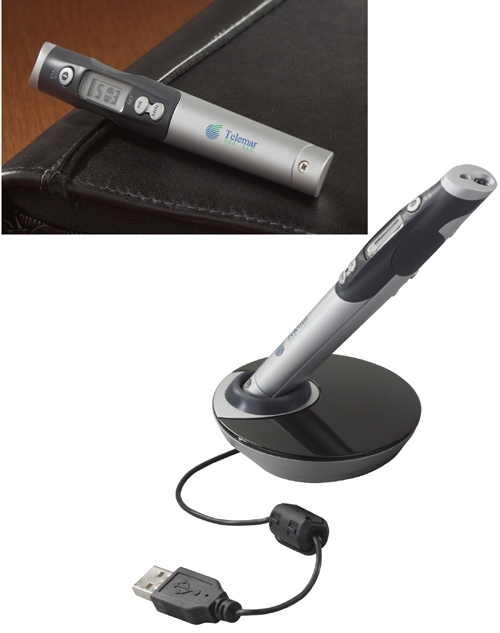 Presentation Laser Pointer