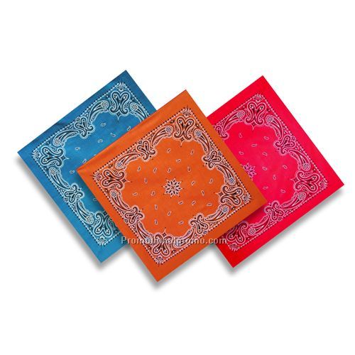 Bandanna - Paisley Bandanna, 22