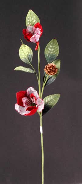 Cloth Flowers
  
   
     
    