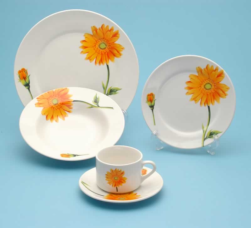  decal dinnerware 
  
   
     
    