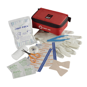 StaySafe Portable First Aid Kit