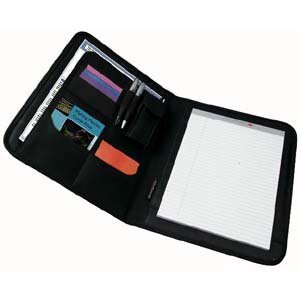 Nesta  Padfolio