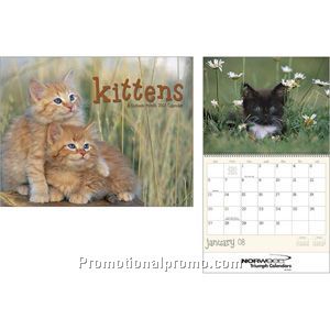 Kittens 16 Month Calendar