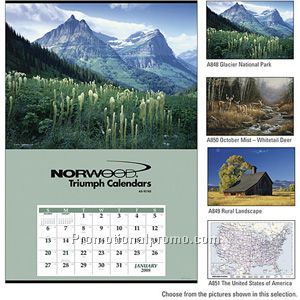 Jumbo Hanger (12-Month)