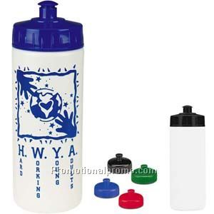 Classic Sport Bottle - 16 oz.