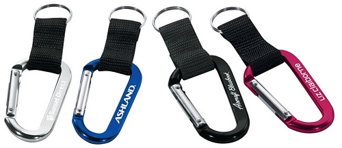 70MM Carabiner With Web Strap And Split Ring