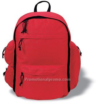 Backpack/cooler bag