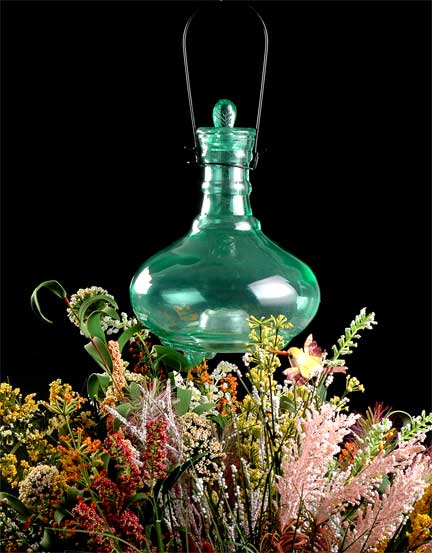 color sprayed glass bug catcher
  
   
     
    