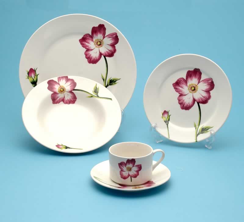  decal dinnerware 
  
   
     
    