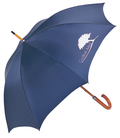 Executive Umbrella