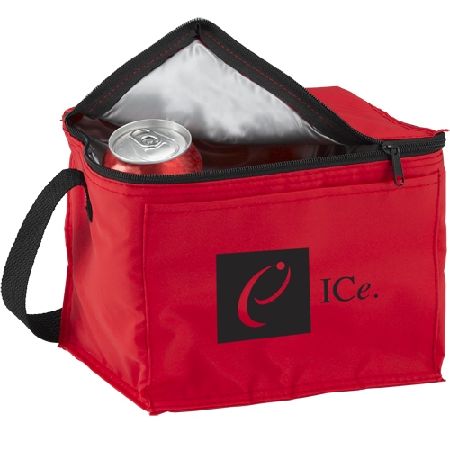 Six pack insulated cooler