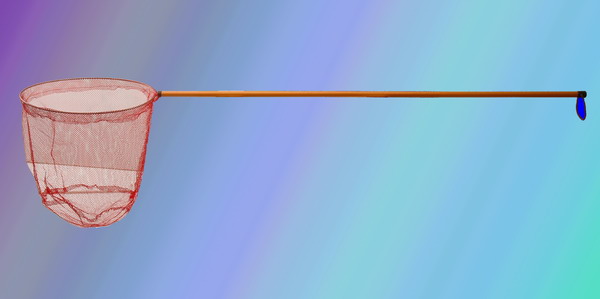 Fishing Netting/Landing Net 
  
   
     
    