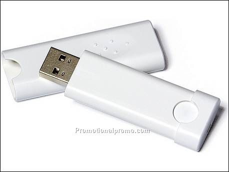Case FlashDrive