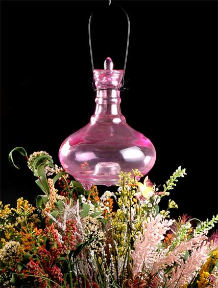 color sprayed glass bug catcher
  
   
     
    