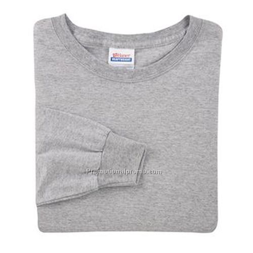 T-Shirt - Hanes Heavyweight Long Sleeve - Heathers