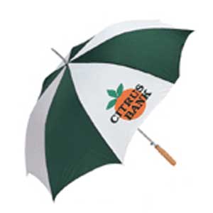 Two Tone- Automatic -Open Umbrella