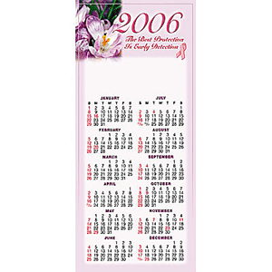 2007 The Best Protection Is Early Detection E-Z Stick Awareness Calendar