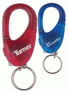 Carabiner LED Light