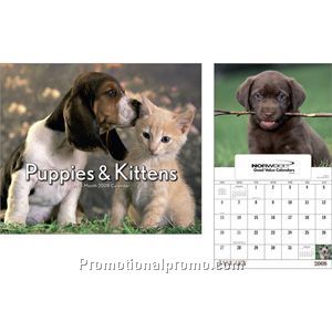 Puppies & Kittens - Window