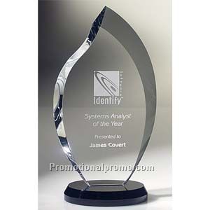 Innovation Award - Large