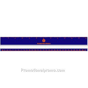 12 inch Magnifying Ruler