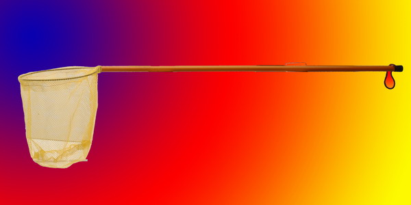 Fishing Netting/Landing Net 
  
   
     
    