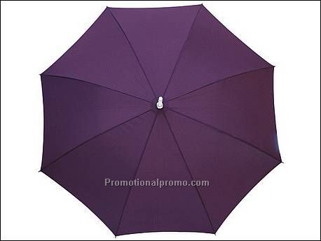 Automatisch te openen paraplu...