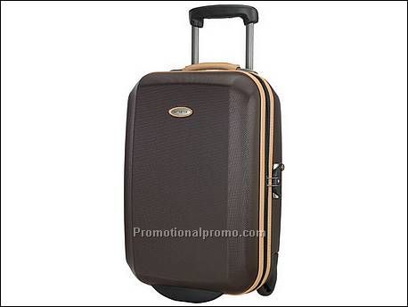 Koffer met 2 wielen 55 cm