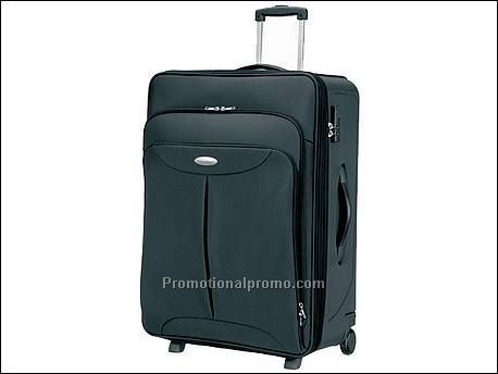 Koffer met 2 wielen 66 cm