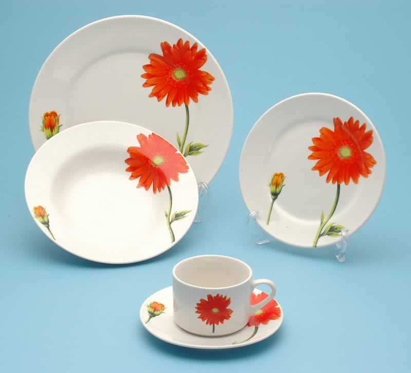 decal dinnerware 
  
   
     
    