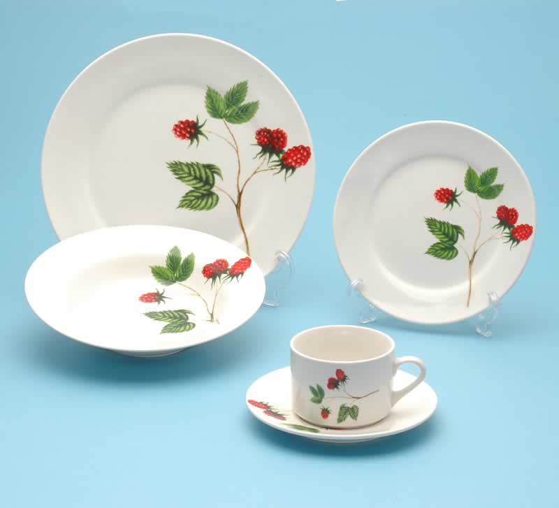 decal dinnerware 
  
   
     
    