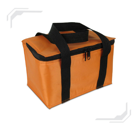 
cooler bag


 