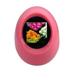 Digital Photo Frame DF-1612PK