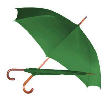 Economy Rain Umbrella