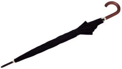 Economy Black Umbrella