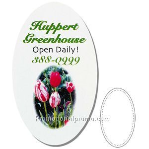 Oval Basic Shaped Magnet - Digitally Printed