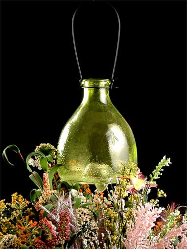 color sprayed glass bug catcher
  
   
     
    