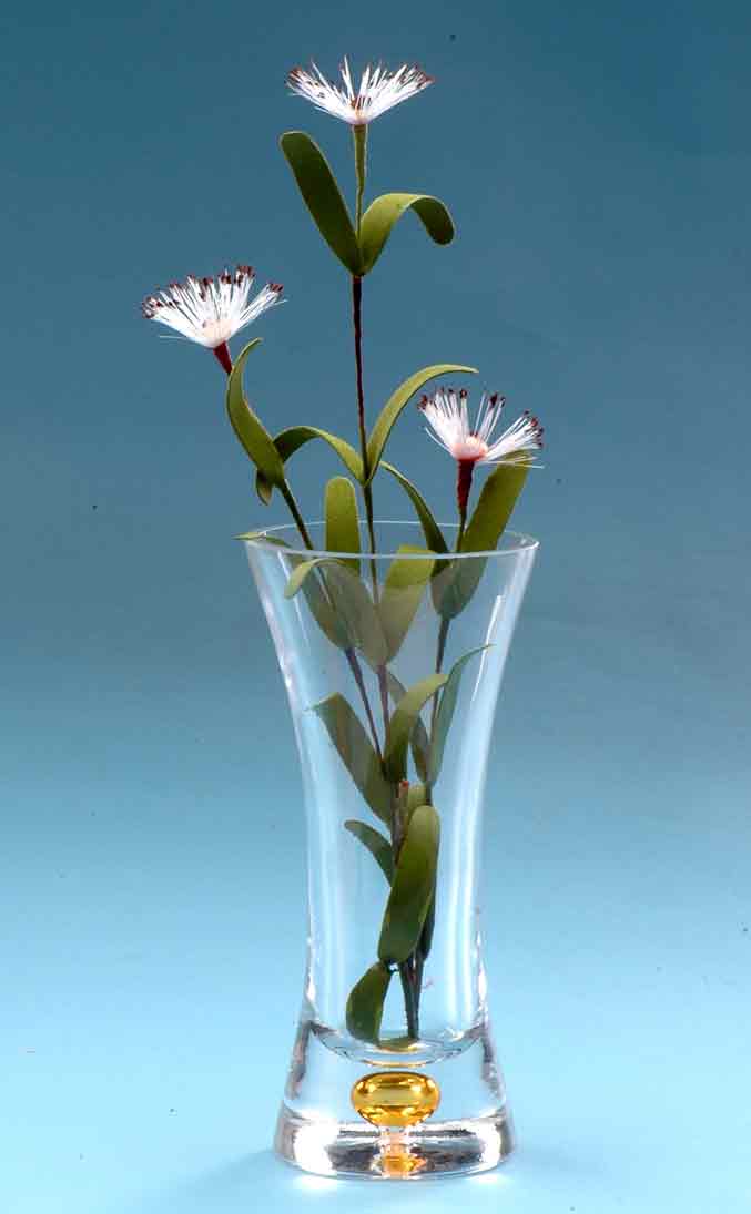 cone vase
  
   
     
    