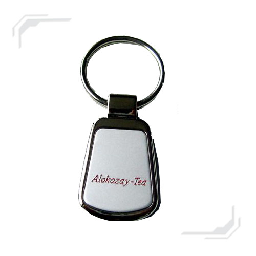 
zinc alloy keychain


 
