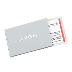 Metallic-Color Business Card Holder BC-255SL