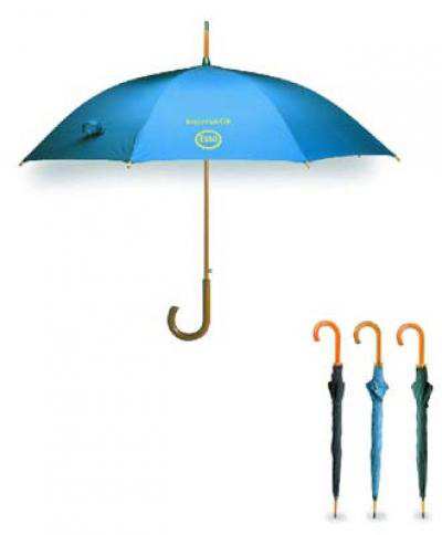 Budget Rain Umbrella