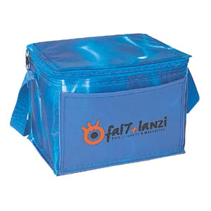 Insulated 6pk Cooler