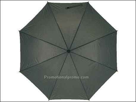 Automatisch te openen paraplu...