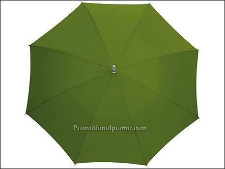 Automatisch te openen paraplu...