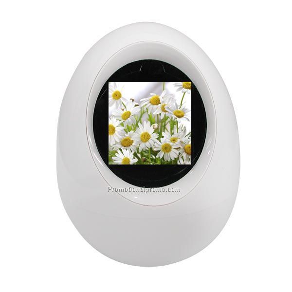 Digital Photo Frame DF-1612WT