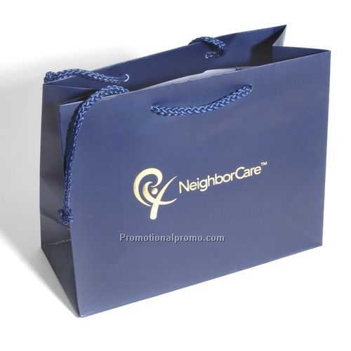 Gift Bag - Paris Matte Laminated Eurotote (10 x 4 x 8)