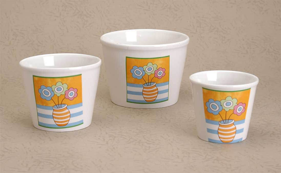 flower pot with decal
  
   
     
    